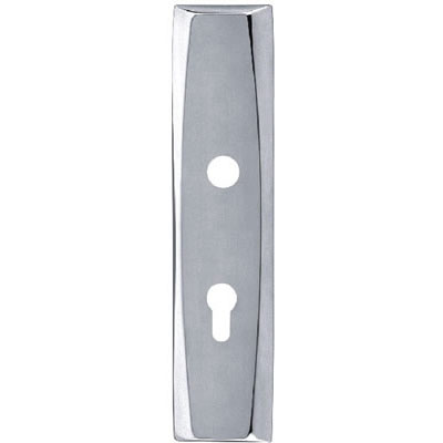 Stainless Steel Handle Plate